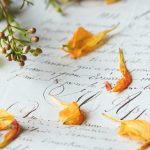 如何在百喜体育平台官网上获取最佳的体育博彩体验 1xbn2dv