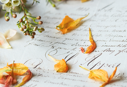 如何在百喜体育平台官网上获取最佳的体育博彩体验