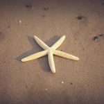 如何在浩瀚体育网页版上获取最新体育资讯与直播 5ztpzvl