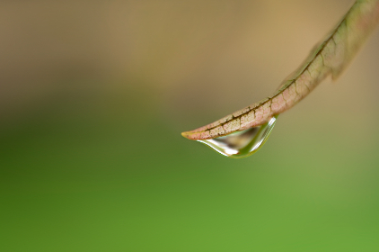 如何在wellbet吉祥体育上获得更高的投注回报率