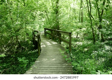 如何成功运营白菜网项目:从策划到实施的全流程解析