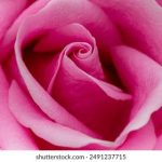 如何在九游体育平台上获取最佳投注策略与技巧 d5pg7zzneo