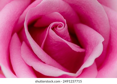 如何在九游体育平台上获取最佳投注策略与技巧