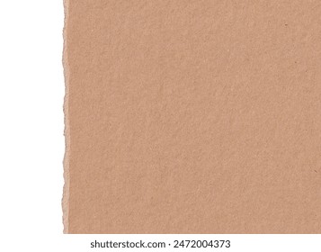 如何利用qsty55提升工作效率与创新能力的实用指南