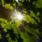 如何在2028体育平台官网上获取最新体育资讯与赛事动态 mh3gt