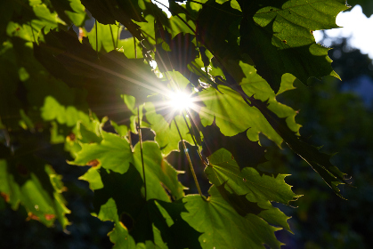 如何在2028体育平台官网上获取最新体育资讯与赛事动态