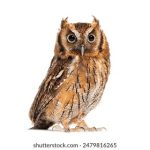 如何在9b娱乐平台官网上注册与获取首存优惠,轻松上手! sbc7o0