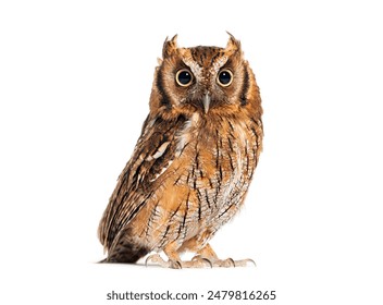 如何在9b娱乐平台官网上注册与获取首存优惠,轻松上手!