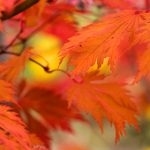 如何在esball.com上安全下注:保护个人信息的最佳实践 u0g6km3