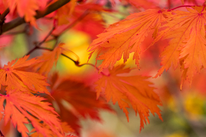 如何在esball.com上安全下注:保护个人信息的最佳实践