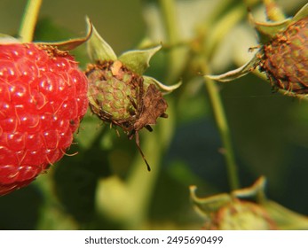 如何在彩6娱乐中提升你的中奖概率与技巧