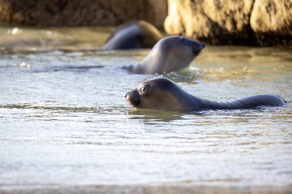 249期历史开奖号码完整回顾与查询指南 249期历史开奖号码完整回顾与查询指南