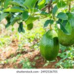 247期3D开奖结果最新公布,中奖号码全面揭晓 nybgf9e