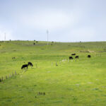 24小时不间断体育直播,精彩赛事随时在线观看 q88hjcq