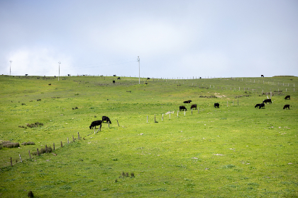 24小时不间断体育直播,精彩赛事随时在线观看 24小时不间断体育直播,精彩赛事随时在线观看
